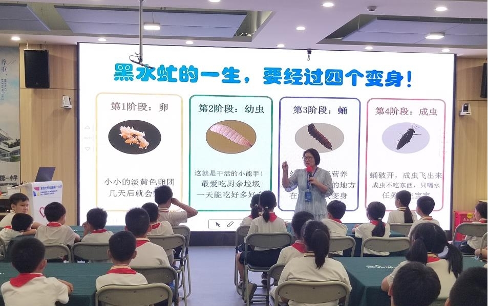 6T体育
